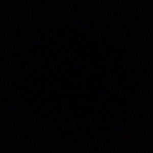 Meet your Posher, Frankie